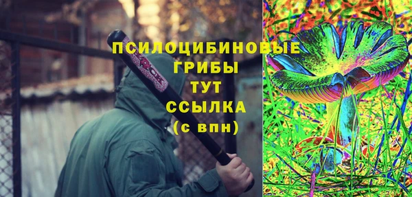 гашик Арсеньев