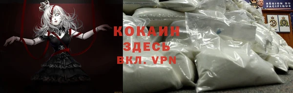 гашик Арсеньев