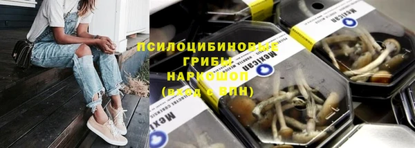 гашик Арсеньев